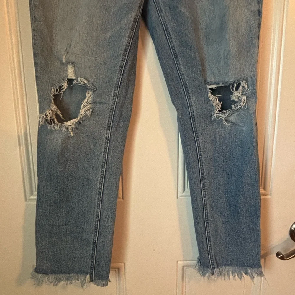 stylish cropped
